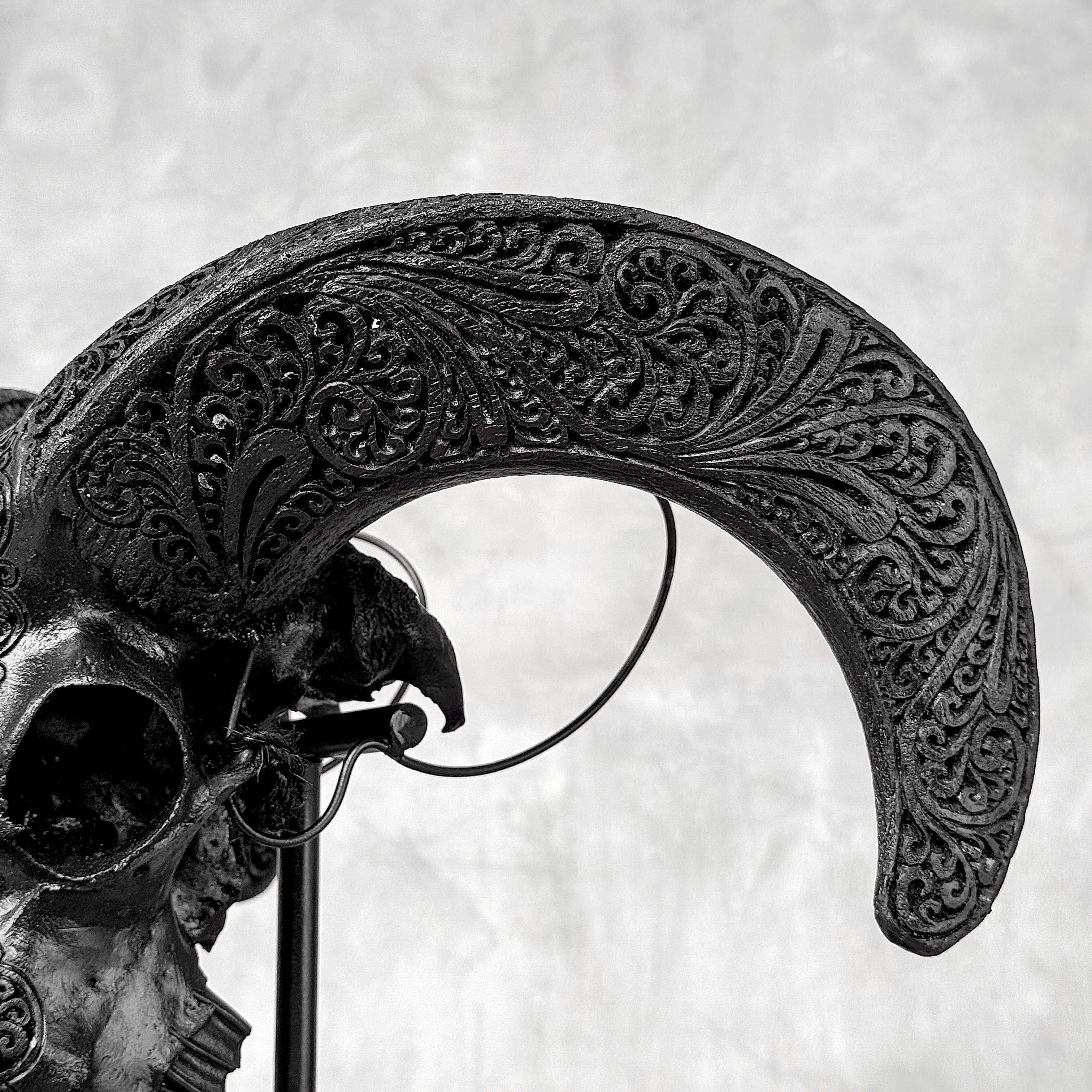 Black Ram Skull Carved Horns with Big Lotus motif on stand - Skull,A/163