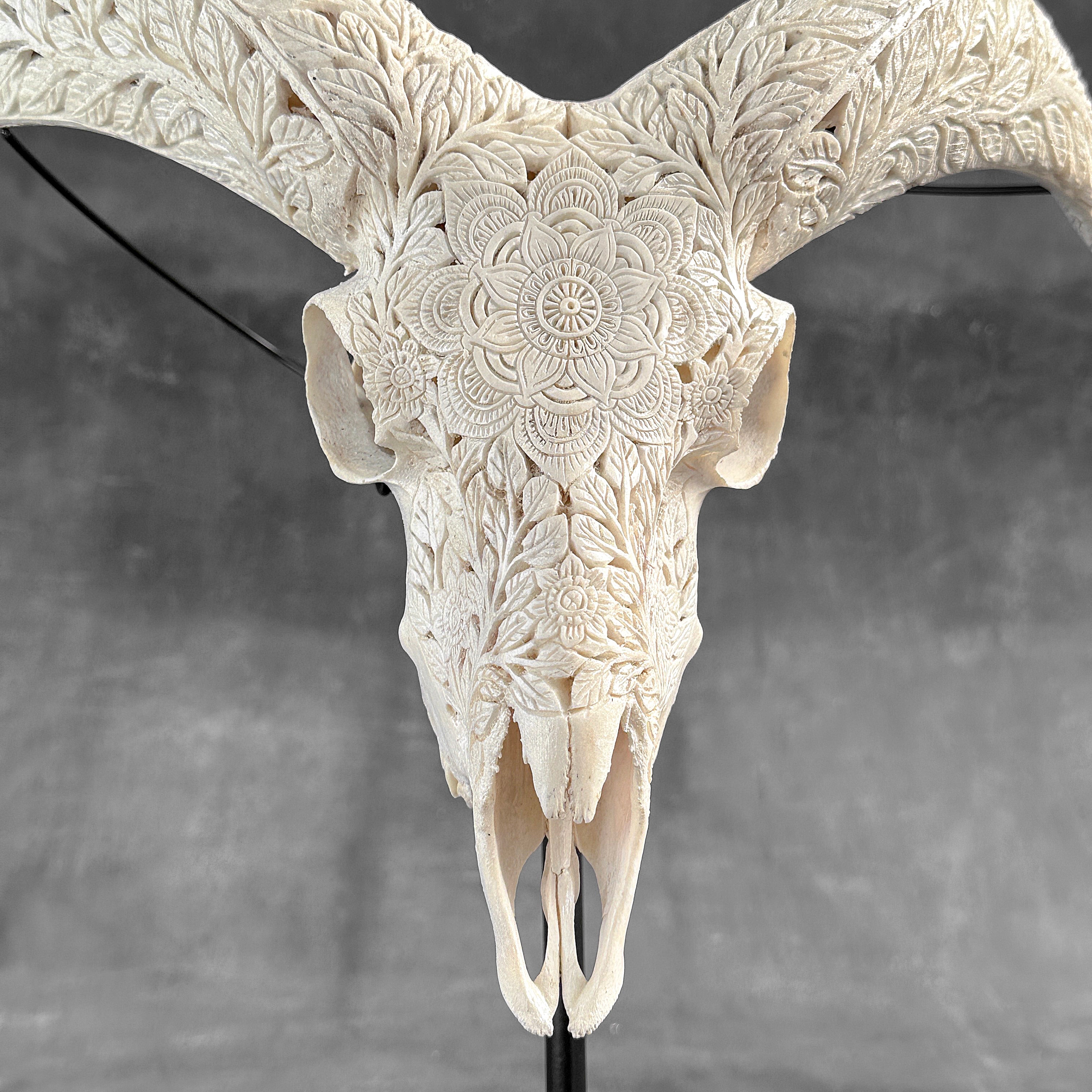 White Ram Skull Carved Horns with Flower Mandala motif on stand - Skull,A/165