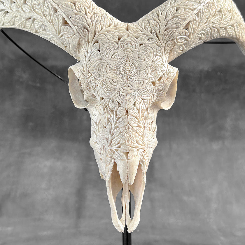 White Ram Skull Carved Horns with Flower Mandala motif on stand - Skull,A/165