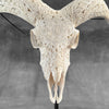 White Ram Skull Carved Horns with Flower Mandala motif on stand - Skull,A/165