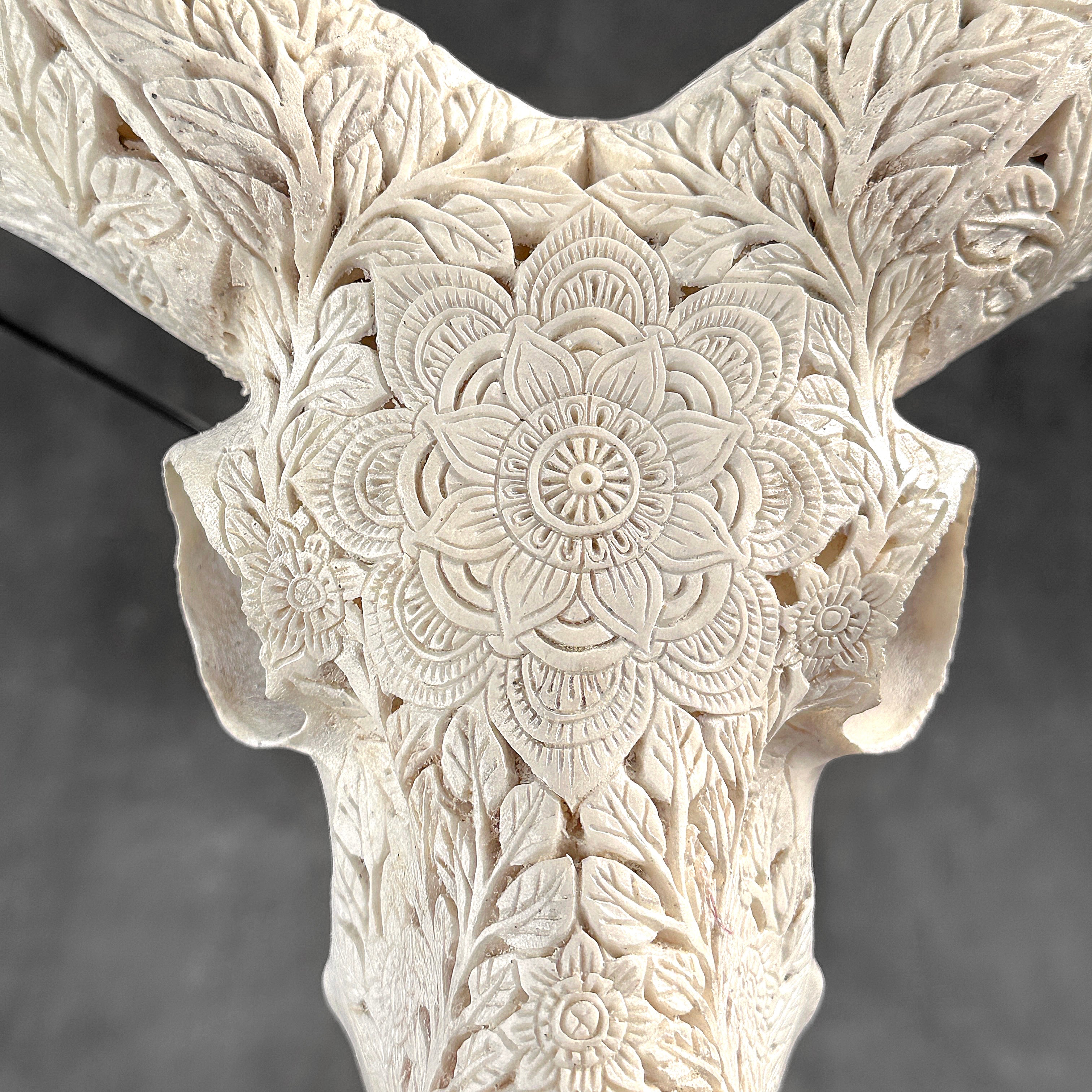 White Ram Skull Carved Horns with Flower Mandala motif on stand - Skull,A/165