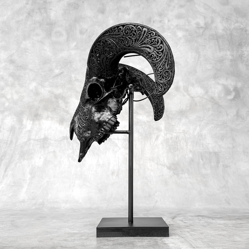 Black Ram Skull Carved Horns with Big Lotus motif on stand - Skull,A/163