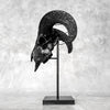 Black Ram Skull Carved Horns with Big Lotus motif on stand - Skull,A/163