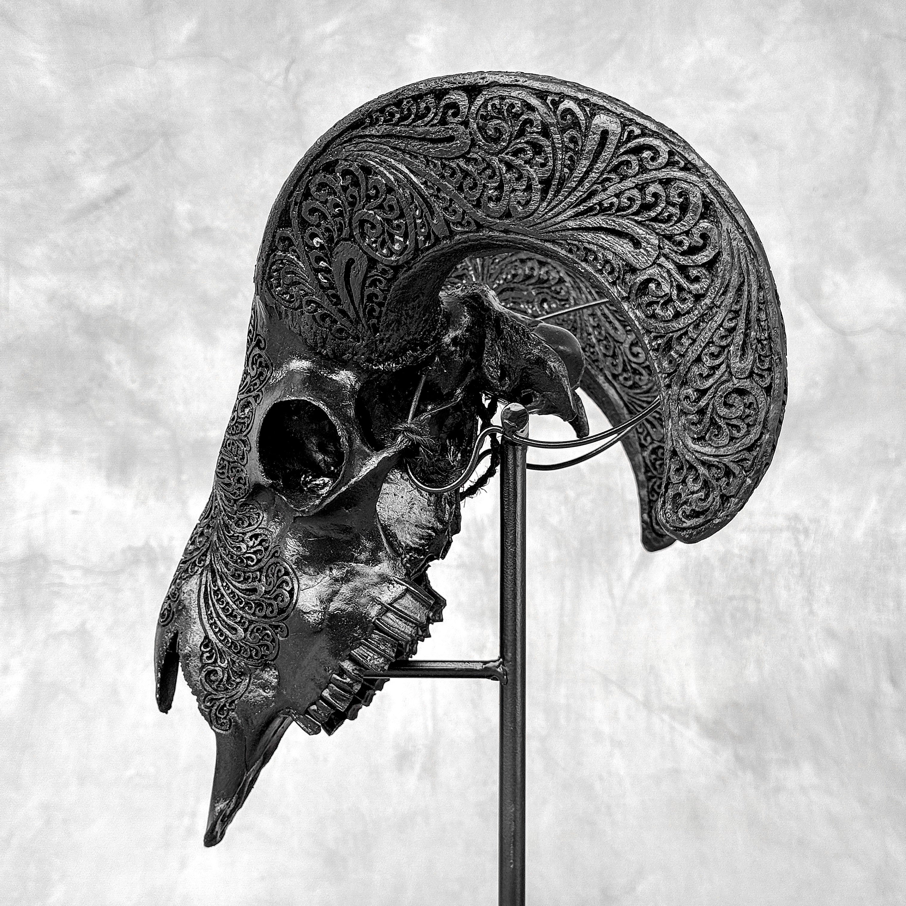 Black Ram Skull Carved Horns with Big Lotus motif on stand - Skull,A/163