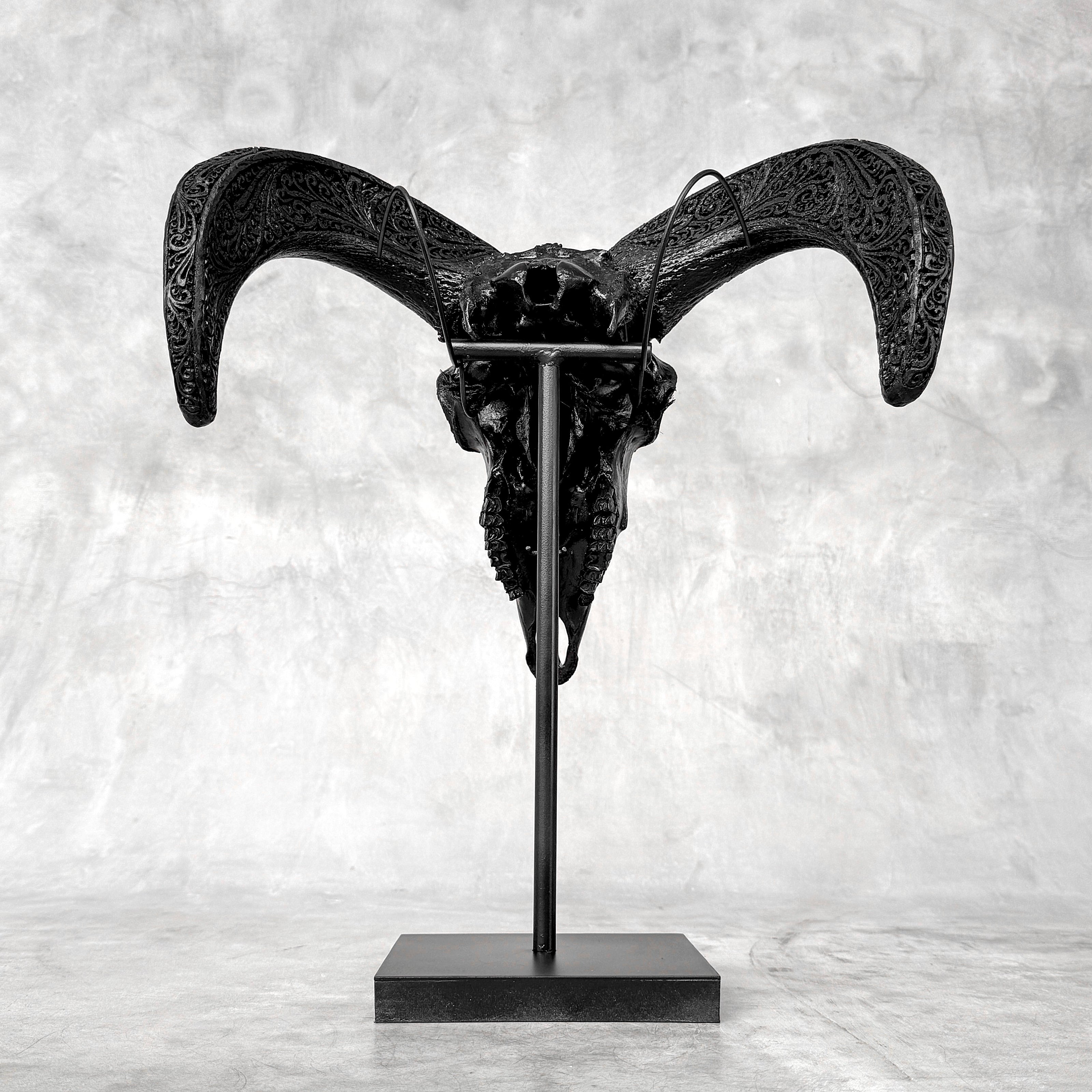 Black Ram Skull Carved Horns with Big Lotus motif on stand - Skull,A/163