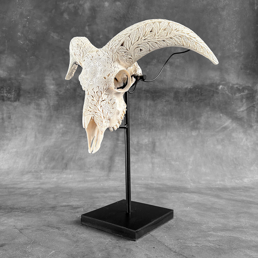 White Ram Skull Carved Horns with Flower Mandala motif on stand - Skull,A/165