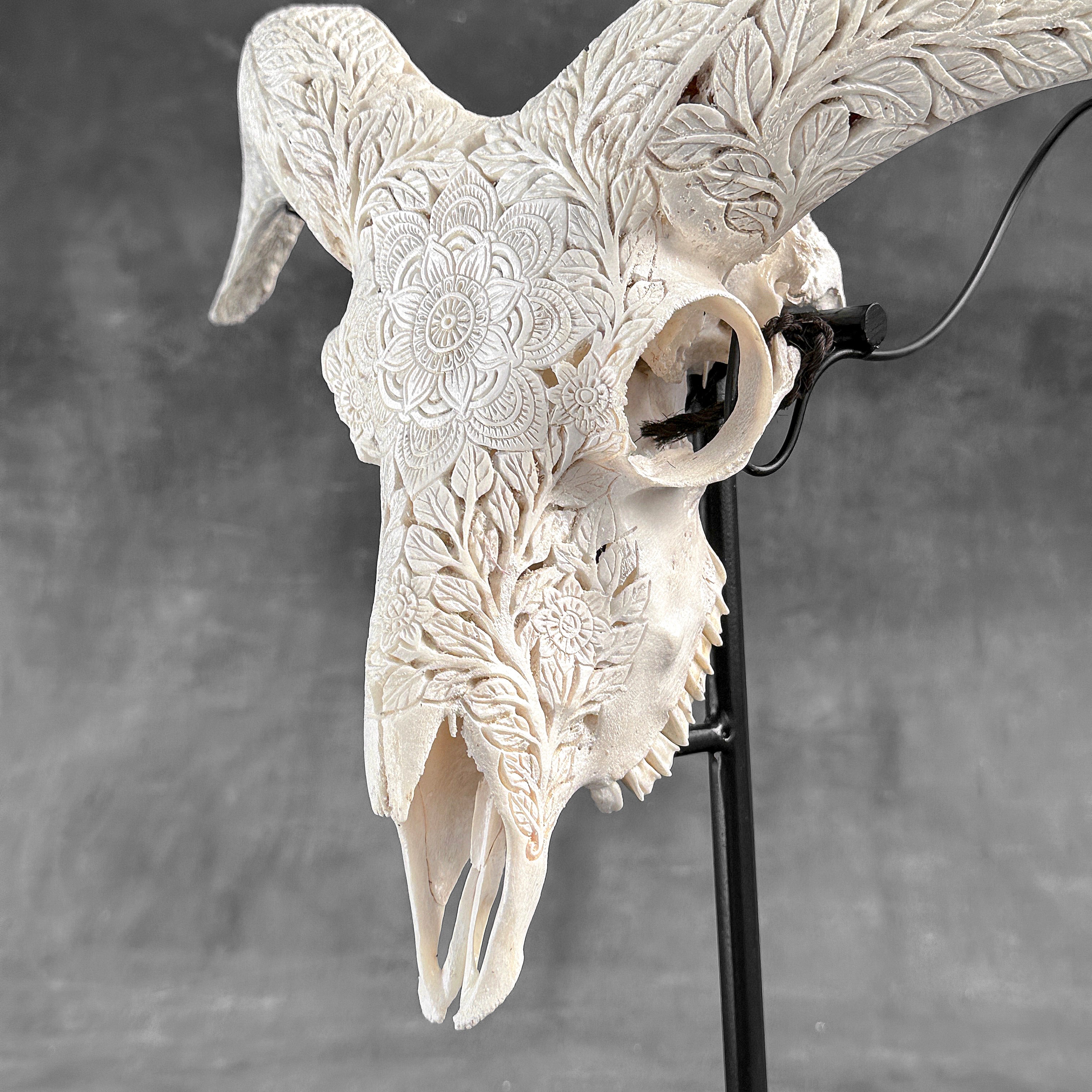 White Ram Skull Carved Horns with Flower Mandala motif on stand - Skull,A/165