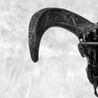 Black Ram Skull Carved Horns with Big Lotus motif on stand - Skull,A/163