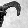 Black Ram Skull Carved Horns with Big Lotus motif on stand - Skull,A/163