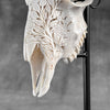 White Ram Skull Carved Horns with Flower Mandala motif on stand - Skull,A/165