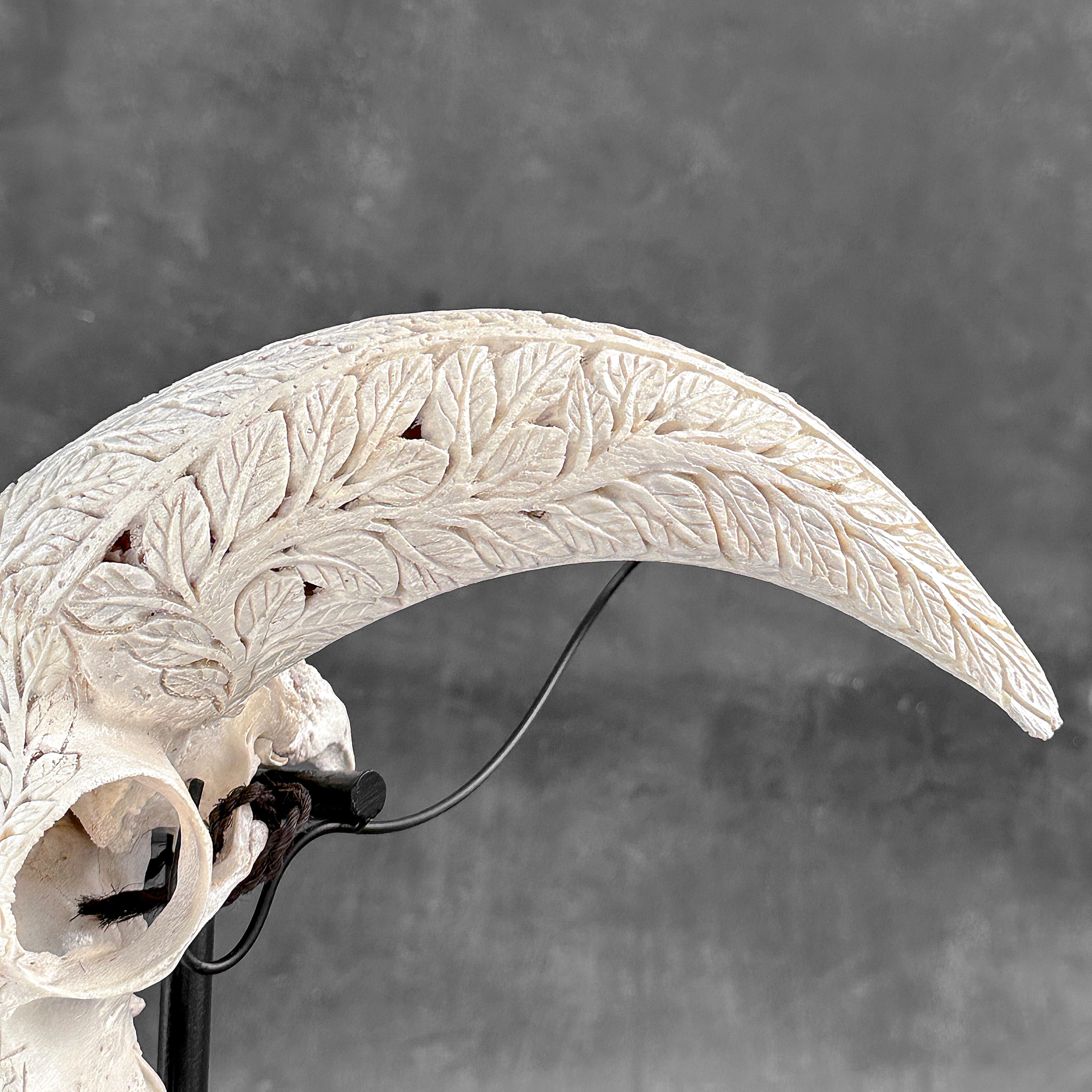 White Ram Skull Carved Horns with Flower Mandala motif on stand - Skull,A/165
