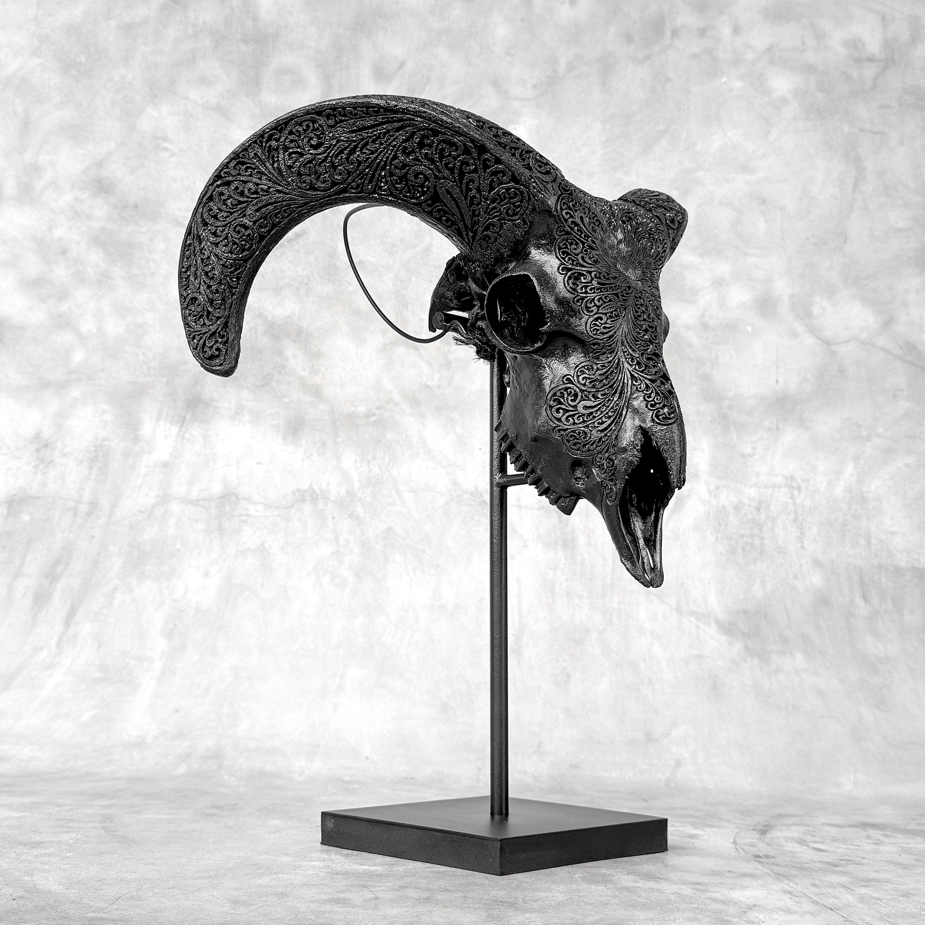 Black Ram Skull Carved Horns with Big Lotus motif on stand - Skull,A/163