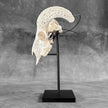 White Ram Skull Carved Horns with Flower Mandala motif on stand - Skull,A/165