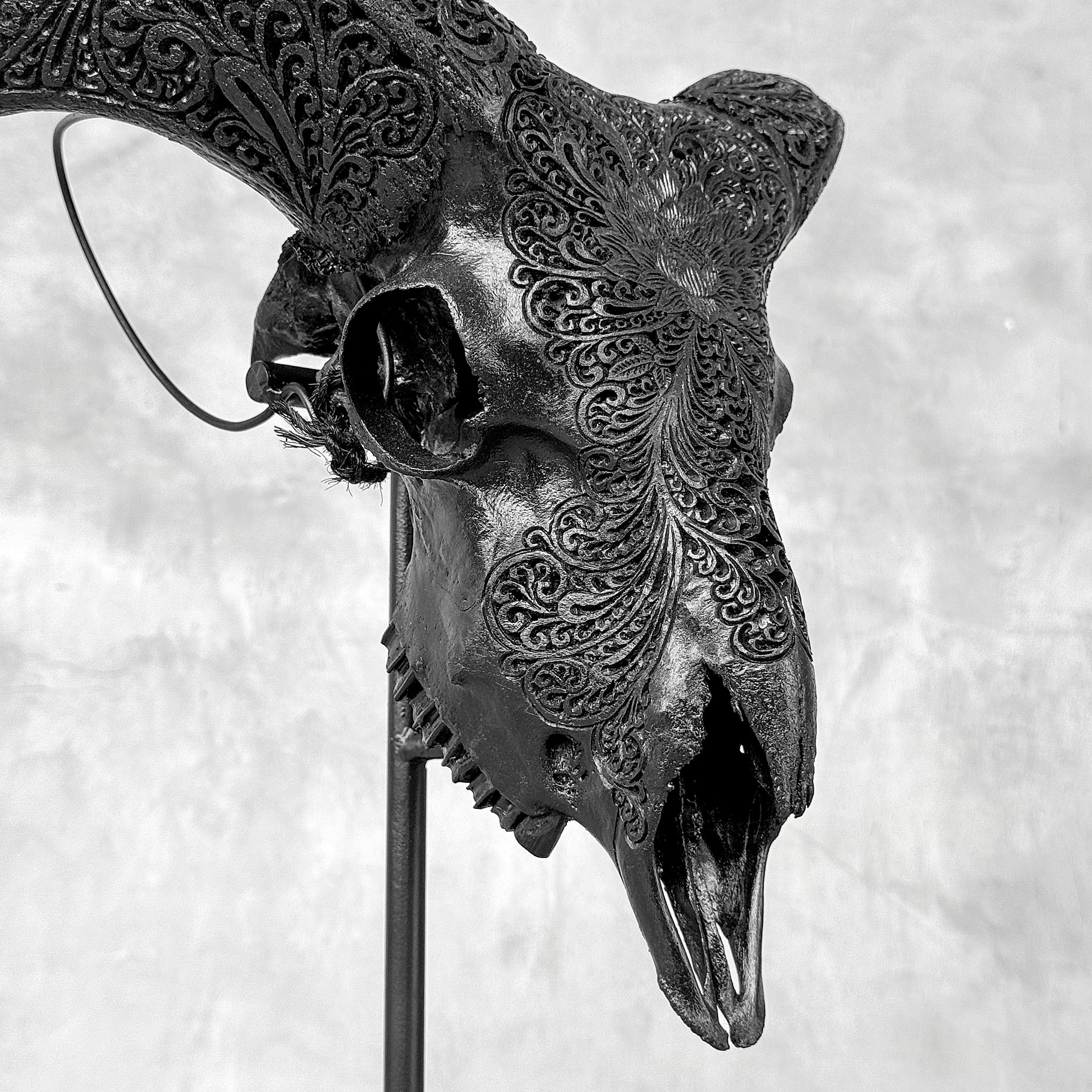 Black Ram Skull Carved Horns with Big Lotus motif on stand - Skull,A/163