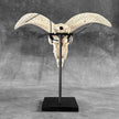 White Ram Skull Carved Horns with Flower Mandala motif on stand - Skull,A/165