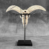 White Ram Skull Carved Horns with Flower Mandala motif on stand - Skull,A/165
