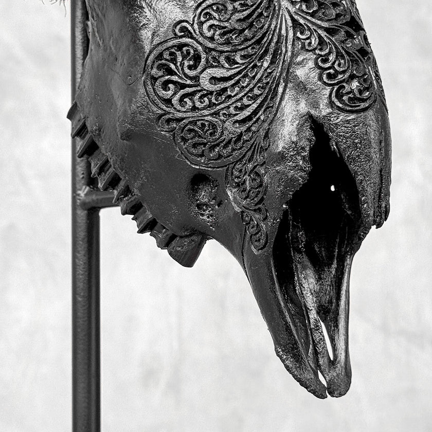 Black Ram Skull Carved Horns with Big Lotus motif on stand - Skull,A/163