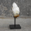 Beautiful Quartz Crystal cluster on a custom stand CC/006