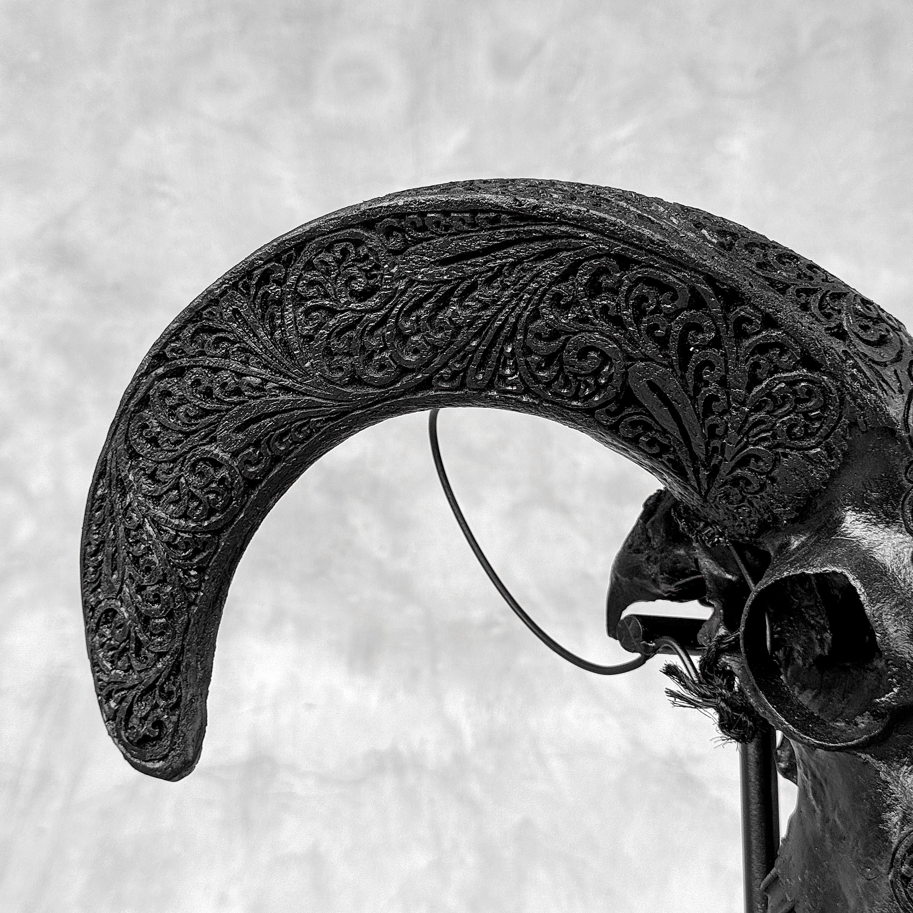 Black Ram Skull Carved Horns with Big Lotus motif on stand - Skull,A/163