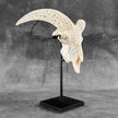 White Ram Skull Carved Horns with Flower Mandala motif on stand - Skull,A/165