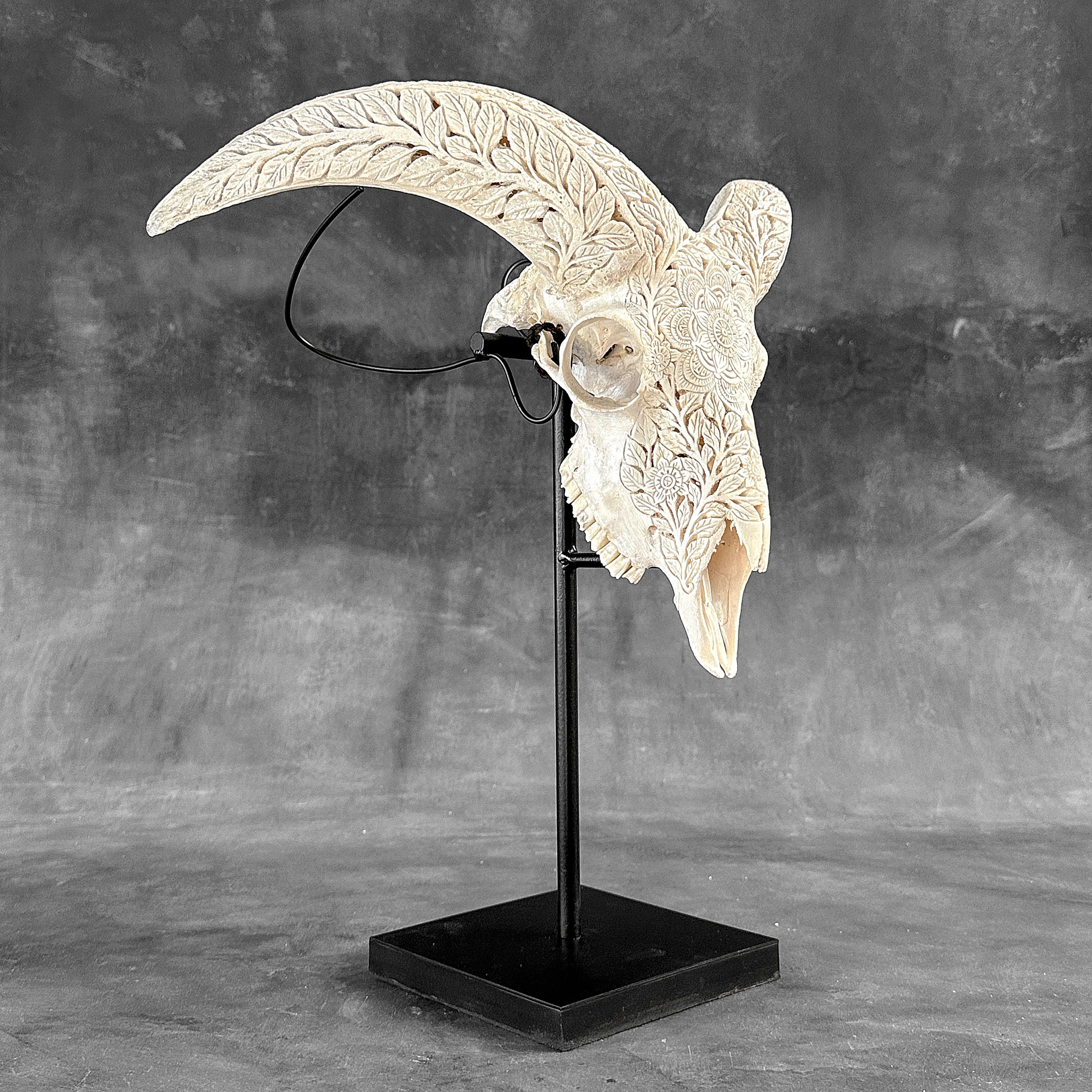 White Ram Skull Carved Horns with Flower Mandala motif on stand - Skull,A/165