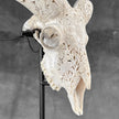 White Ram Skull Carved Horns with Flower Mandala motif on stand - Skull,A/165