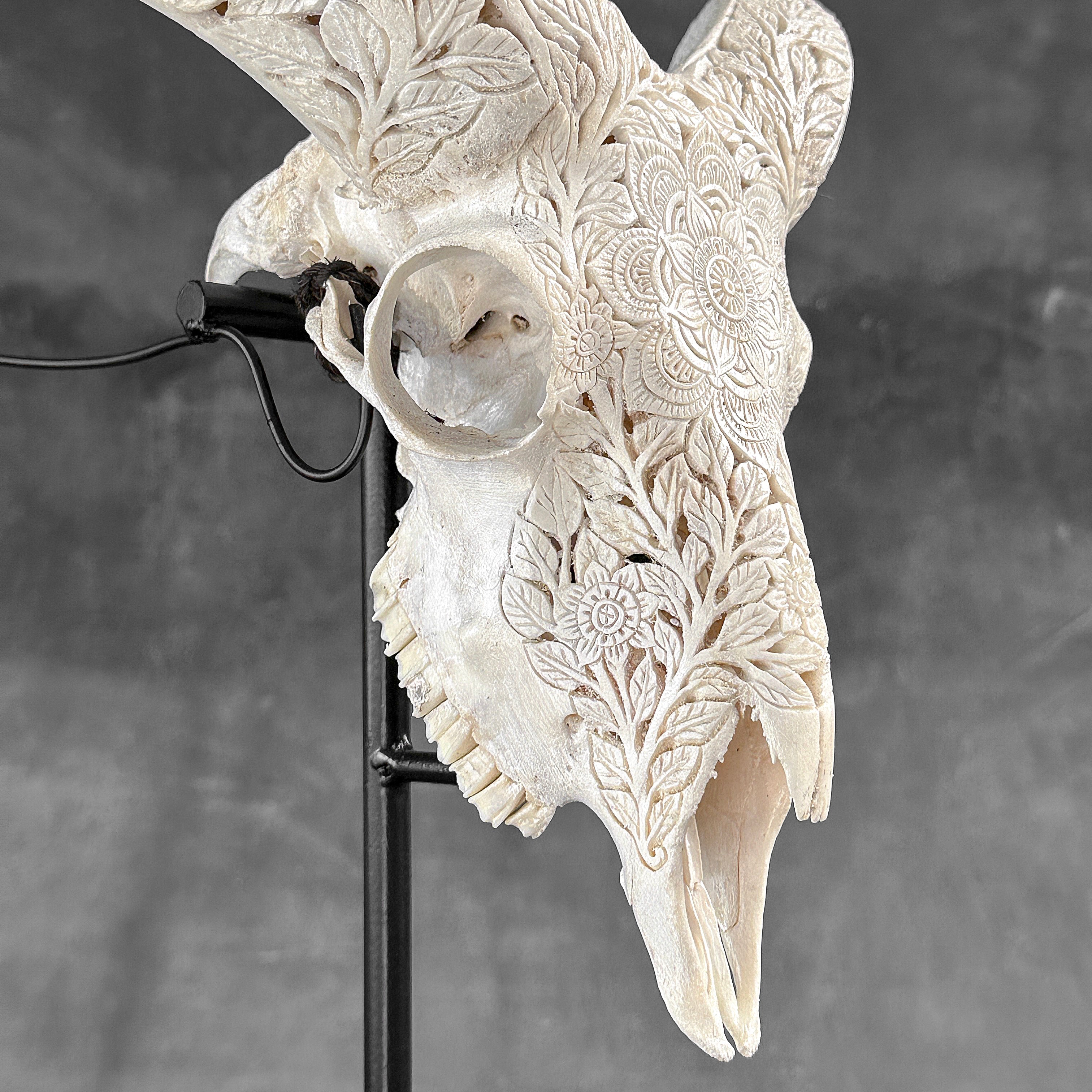 White Ram Skull Carved Horns with Flower Mandala motif on stand - Skull,A/165