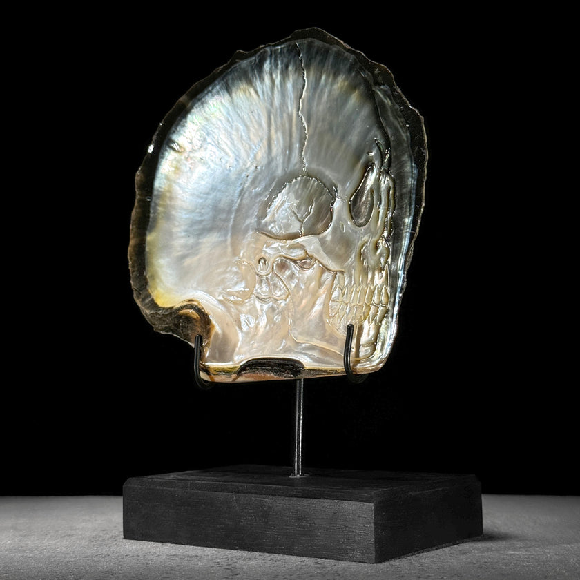 MoP Human Skull Human Skull - ToS,A/001