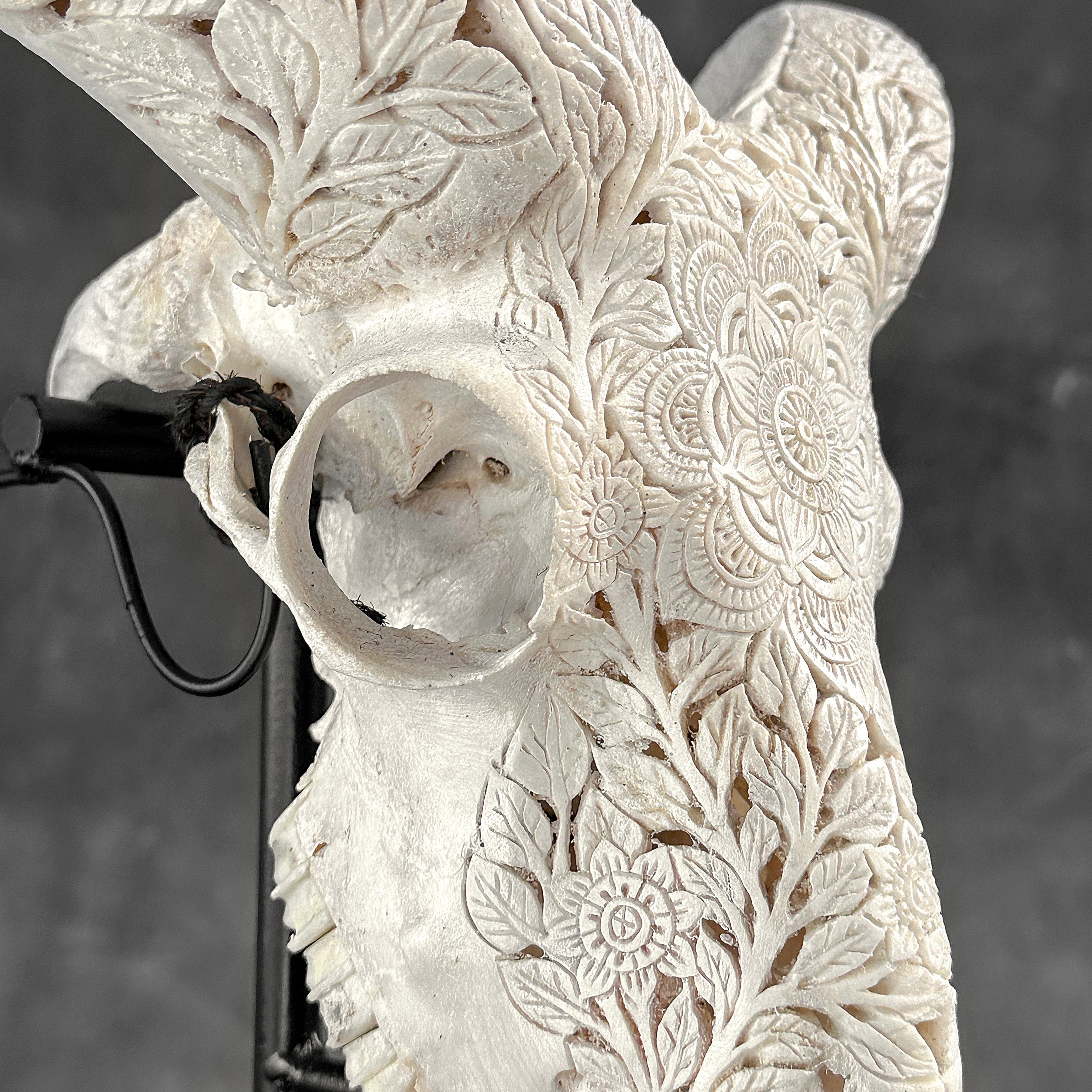 White Ram Skull Carved Horns with Flower Mandala motif on stand - Skull,A/165