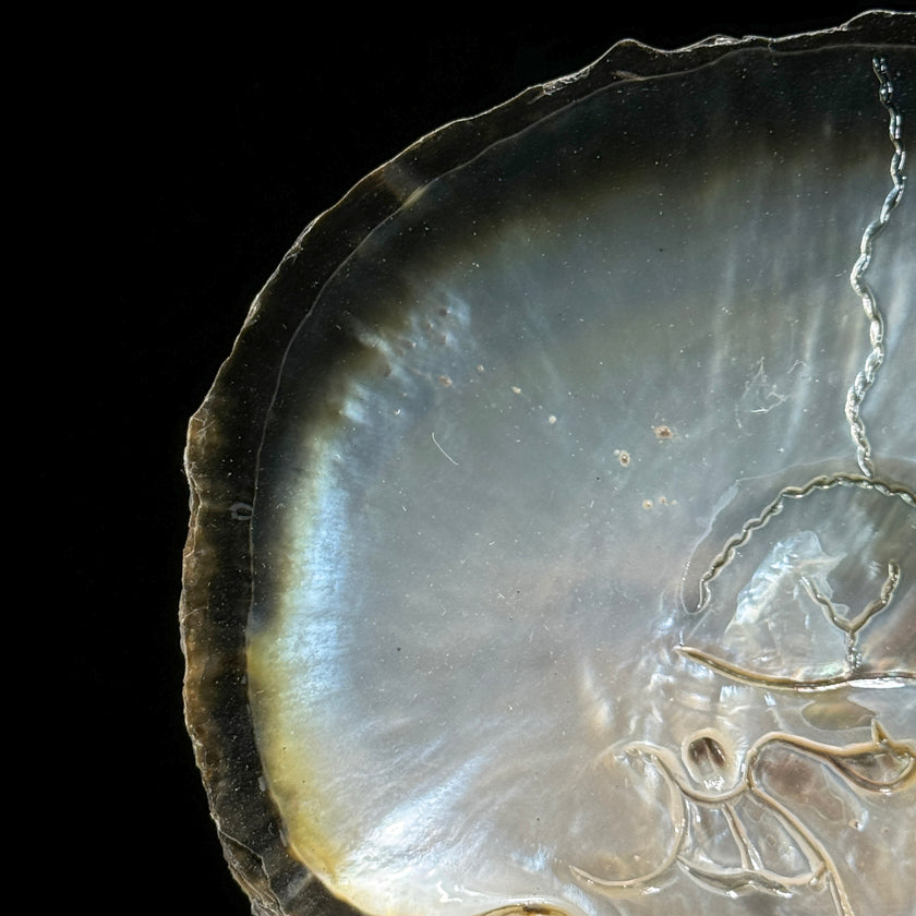 MoP Human Skull Human Skull - ToS,A/001