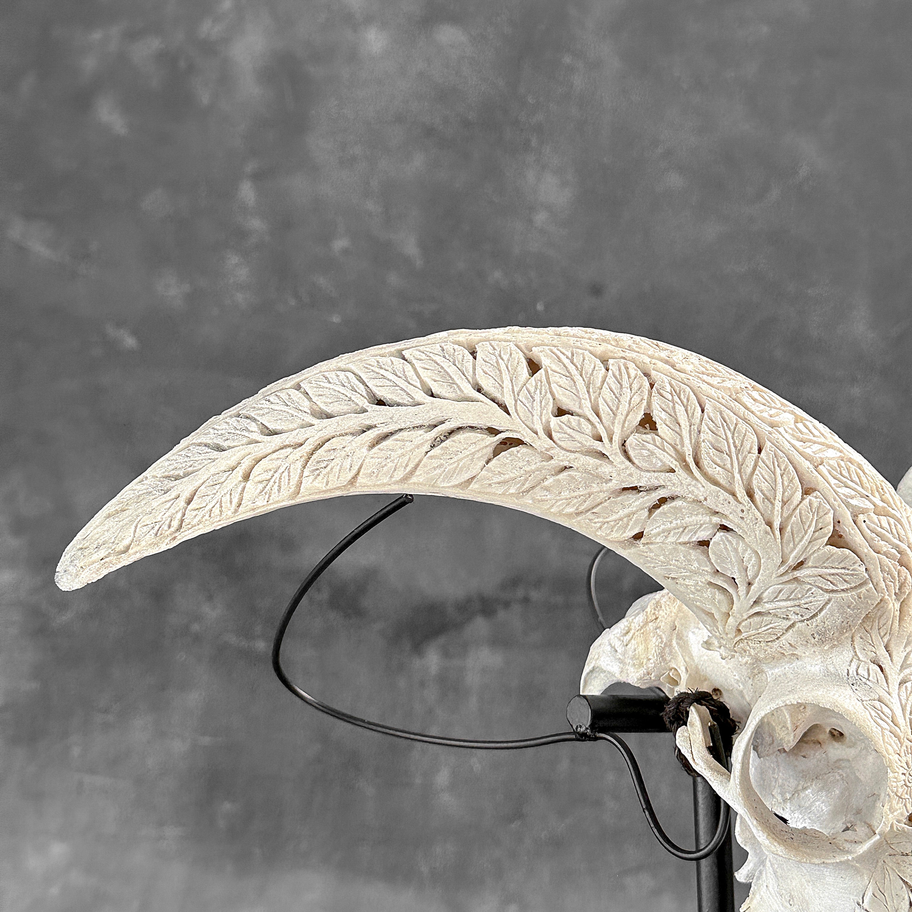 White Ram Skull Carved Horns with Flower Mandala motif on stand - Skull,A/165