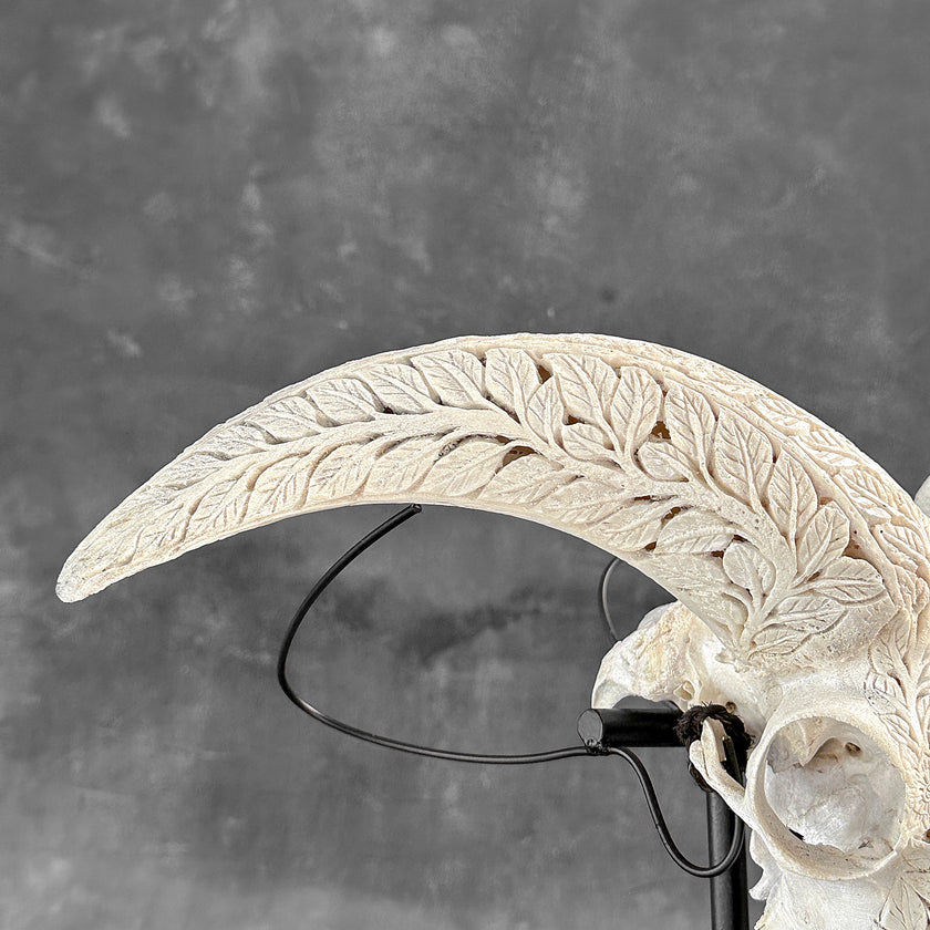 White Ram Skull Carved Horns with Flower Mandala motif on stand - Skull,A/165