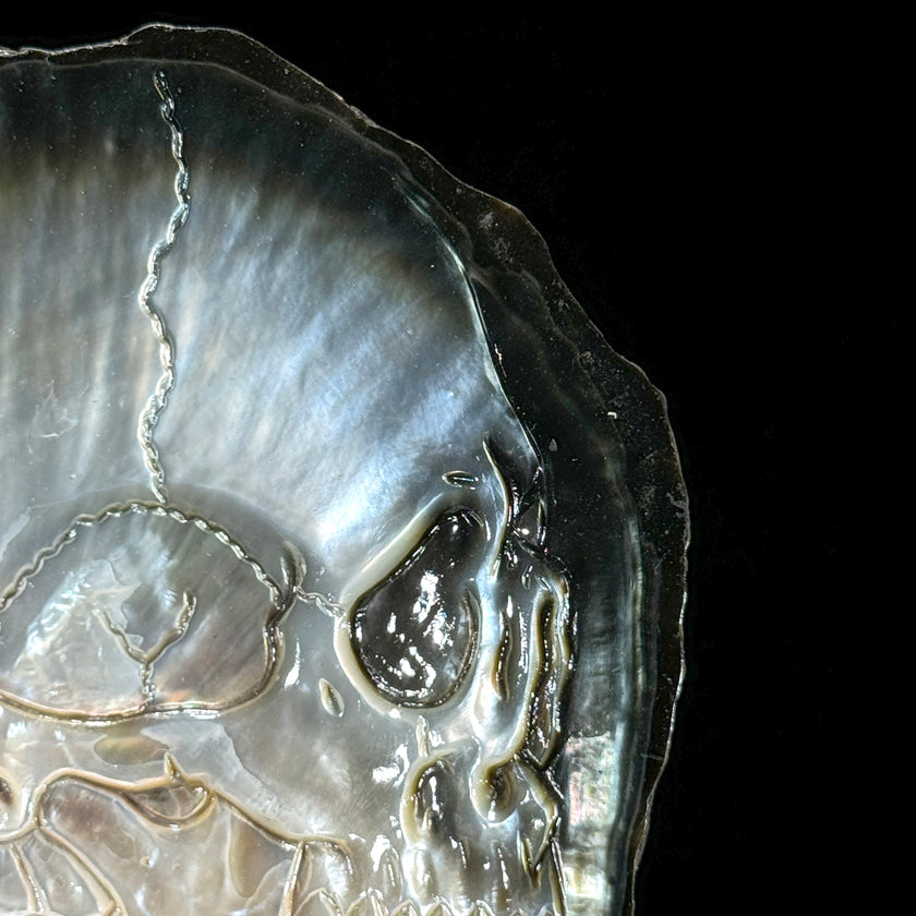 MoP Human Skull Human Skull - ToS,A/001