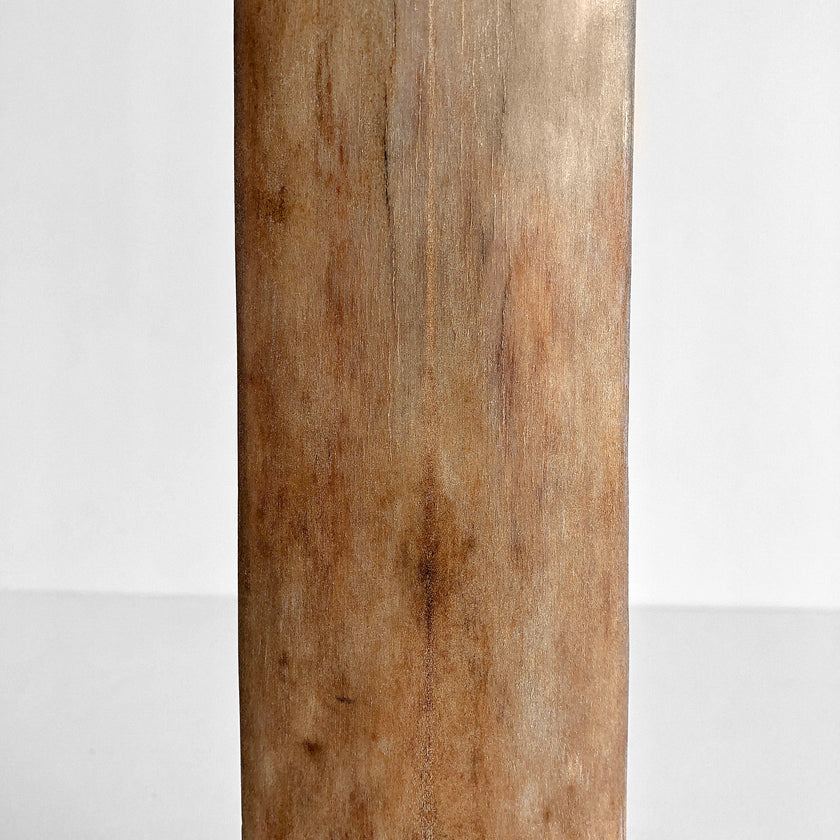 Natural Tusk on stand 21/EX/702