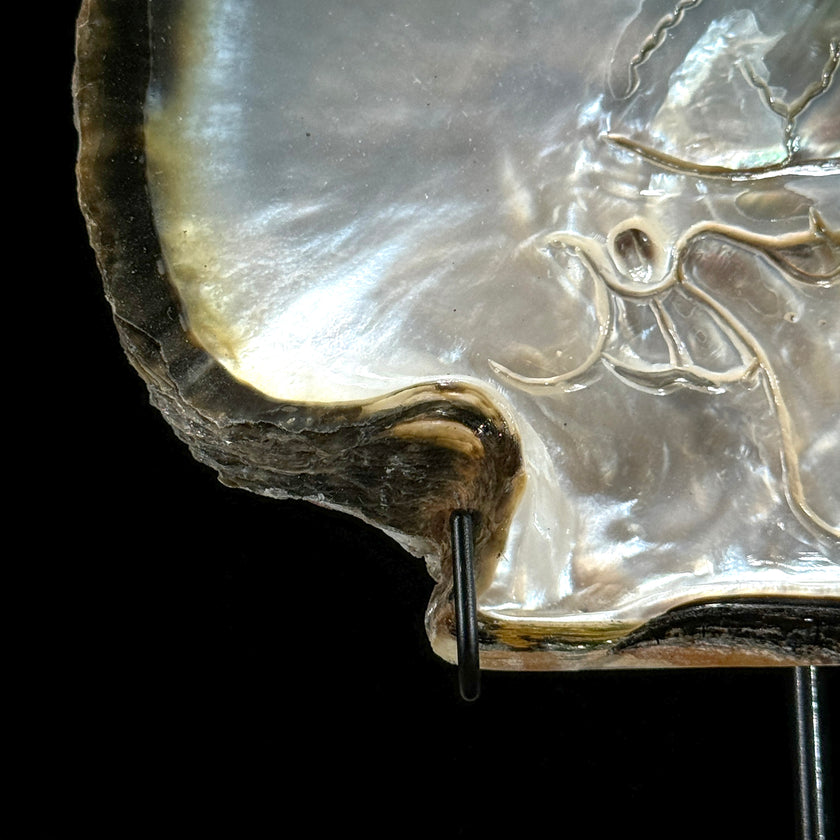 MoP Human Skull Human Skull - ToS,A/001