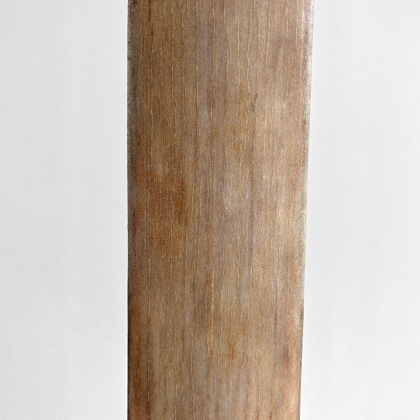 Natural Tusk on stand 21/EX/702