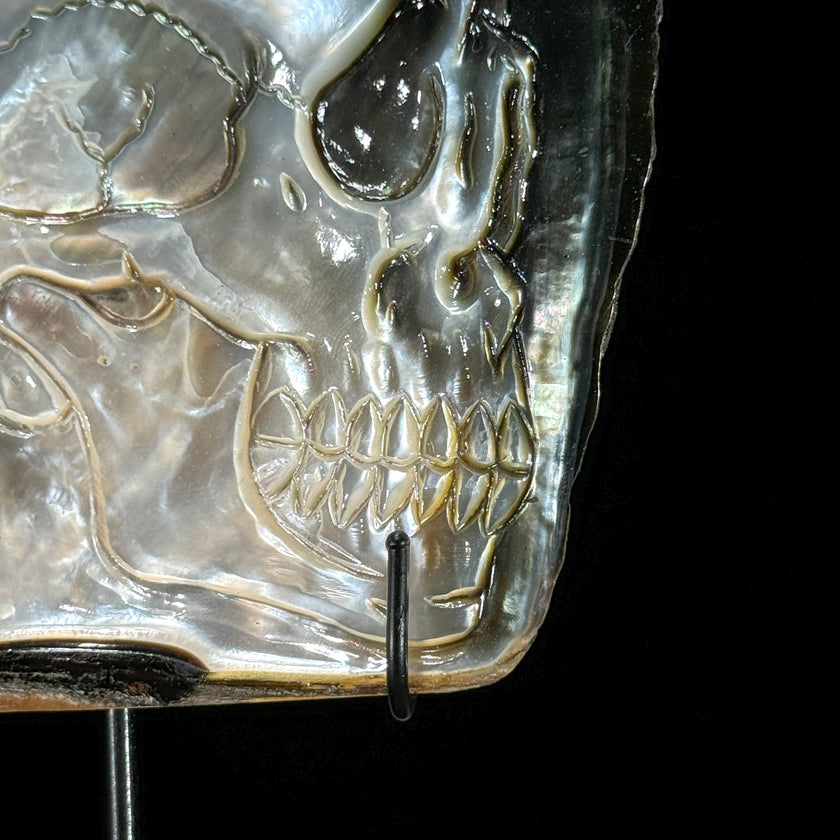 MoP Human Skull Human Skull - ToS,A/001