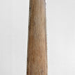 Natural Tusk on stand 21/EX/702