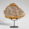 Beautiful Slice of Petrified Wood on stand - PW/269