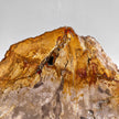Beautiful Slice of Petrified Wood on stand - PW/269