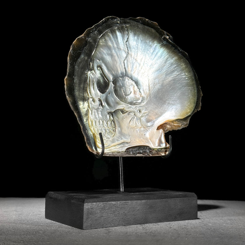 MoP Human Skull Human Skull - ToS,A/002