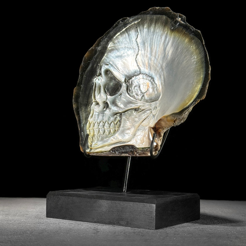 MoP Human Skull Human Skull - ToS,A/002