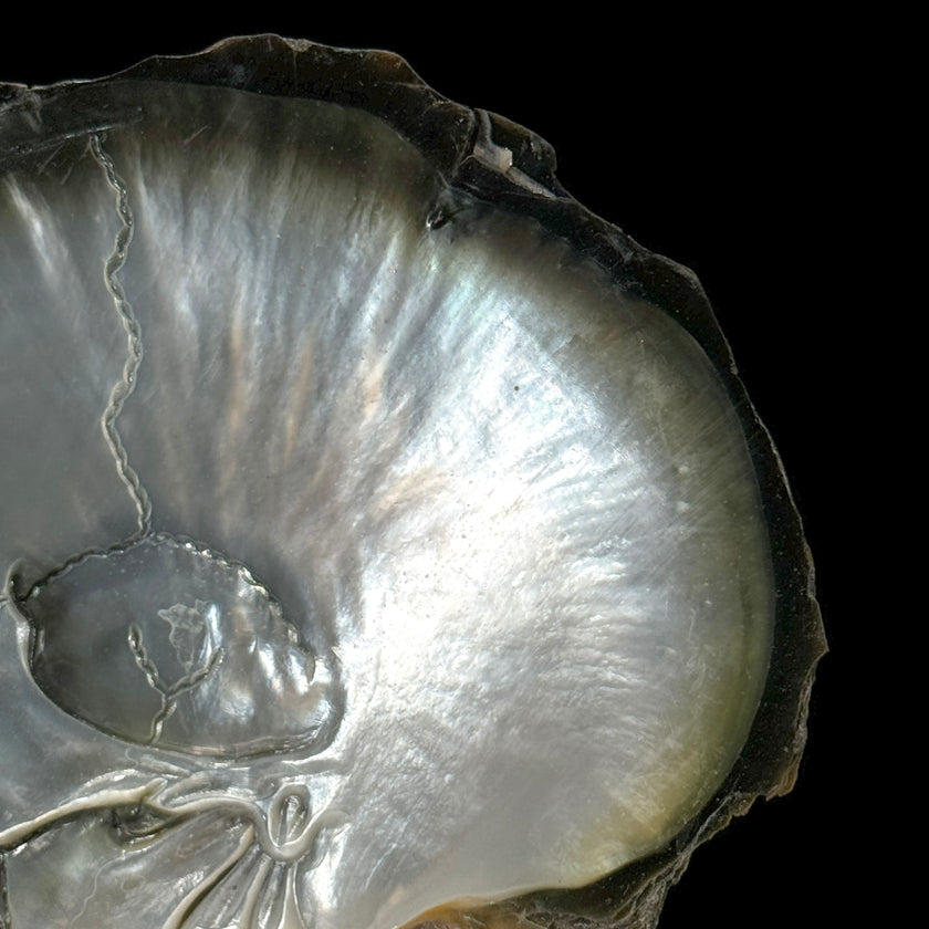 MoP Human Skull Human Skull - ToS,A/002