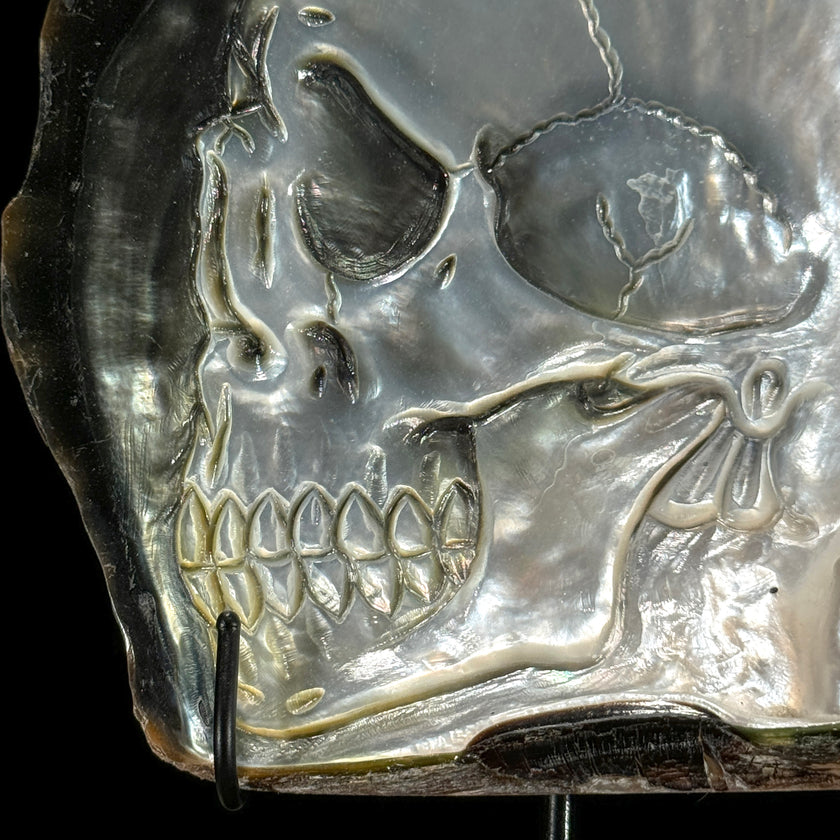 MoP Human Skull Human Skull - ToS,A/002