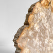 Beautiful Slice of Petrified Wood on stand - PW/269