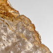 Beautiful Slice of Petrified Wood on stand - PW/269