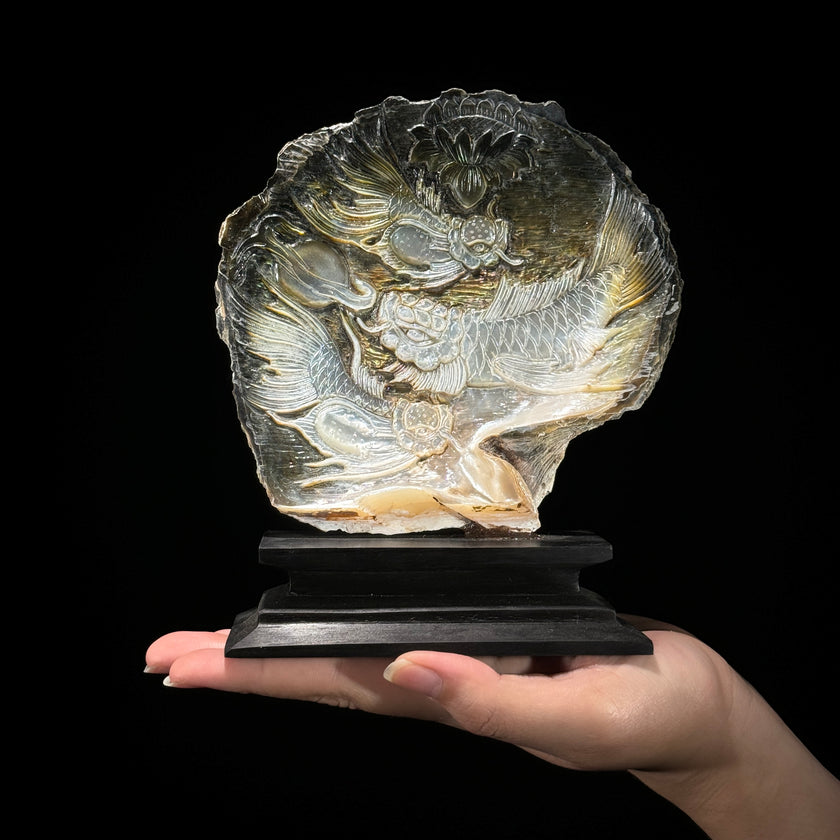 MoP Shell L Koi Fish - ToS,A/006