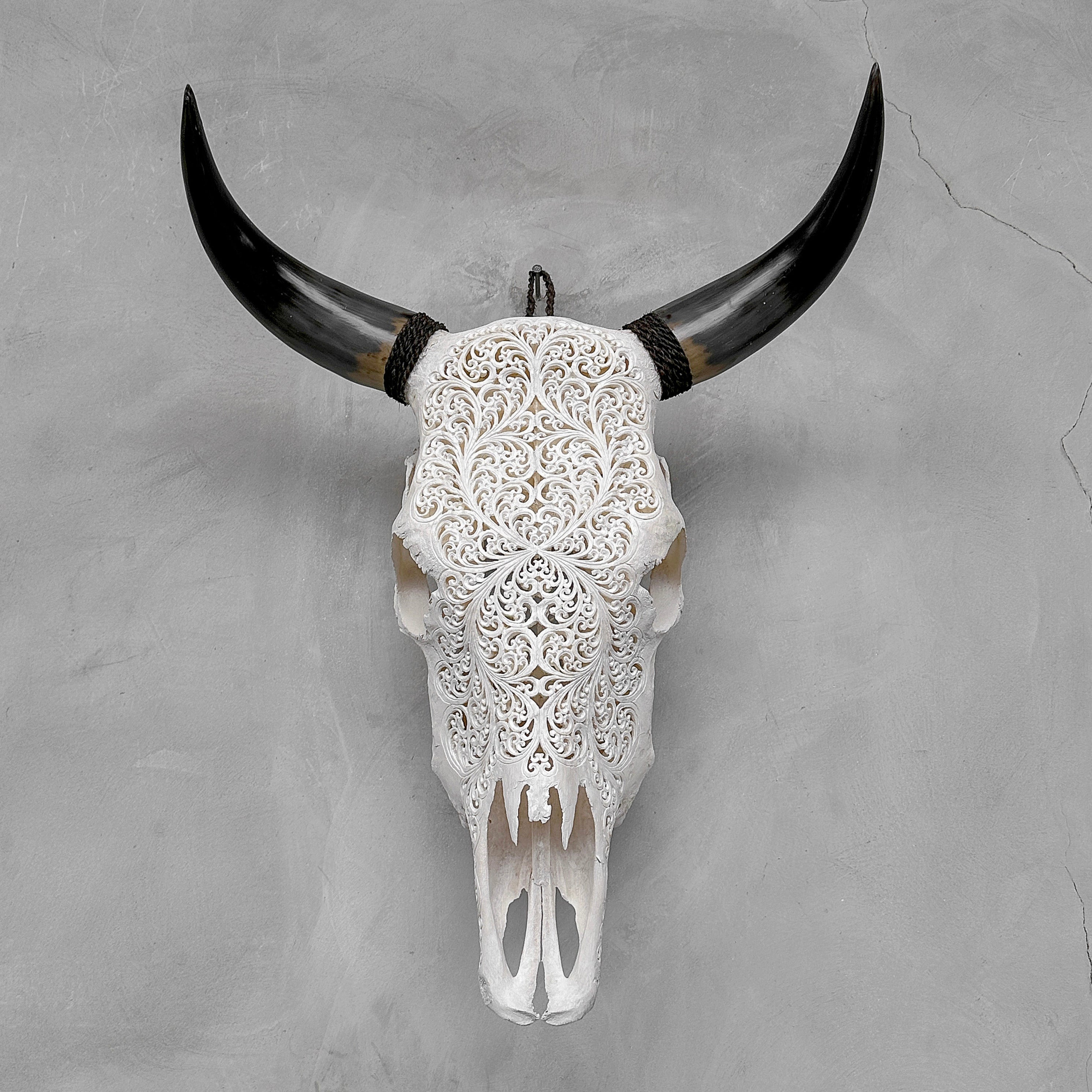 Bull Skull Carved Fern - Skull,A/151