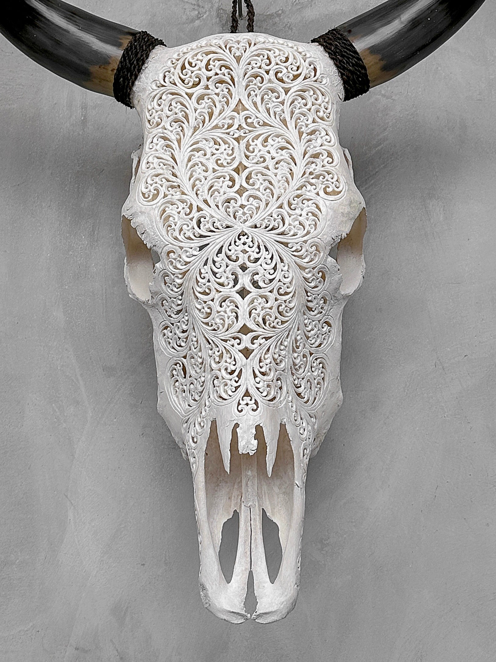 Bull Skull Carved Fern - Skull,A/151