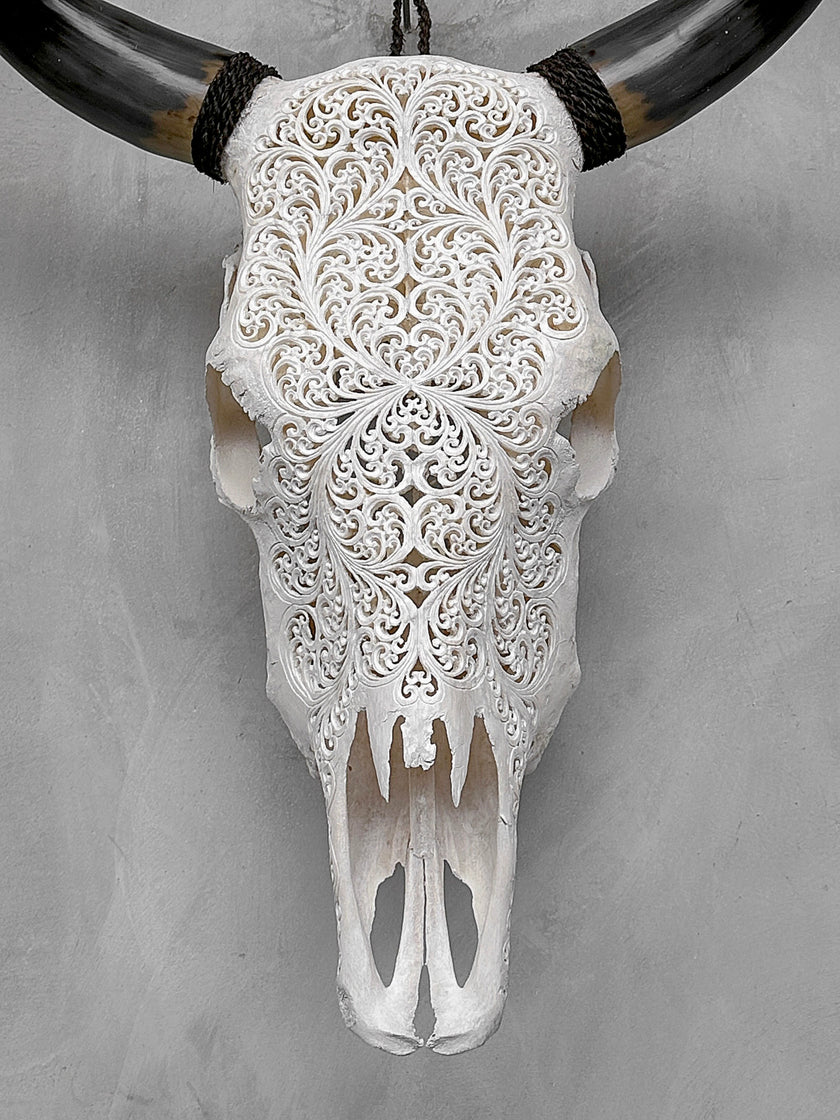 Bull Skull Carved Fern - Skull,A/151